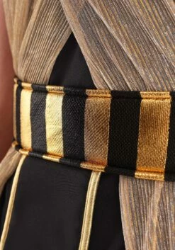 All Powerful Pharaoh Men's Costume -Fun World Shop adult all powerful pharaoh alt 5