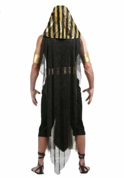 All Powerful Pharaoh Men's Costume -Fun World Shop adult all powerful pharaoh alt 7
