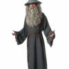 Gandalf Costume