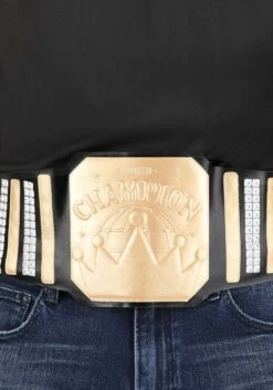 Front Page -Fun World Shop generic wrestling championship belt alt 1