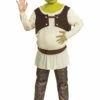 Shrek Costume For Men